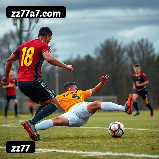 Níveis do programa VIP da zz77